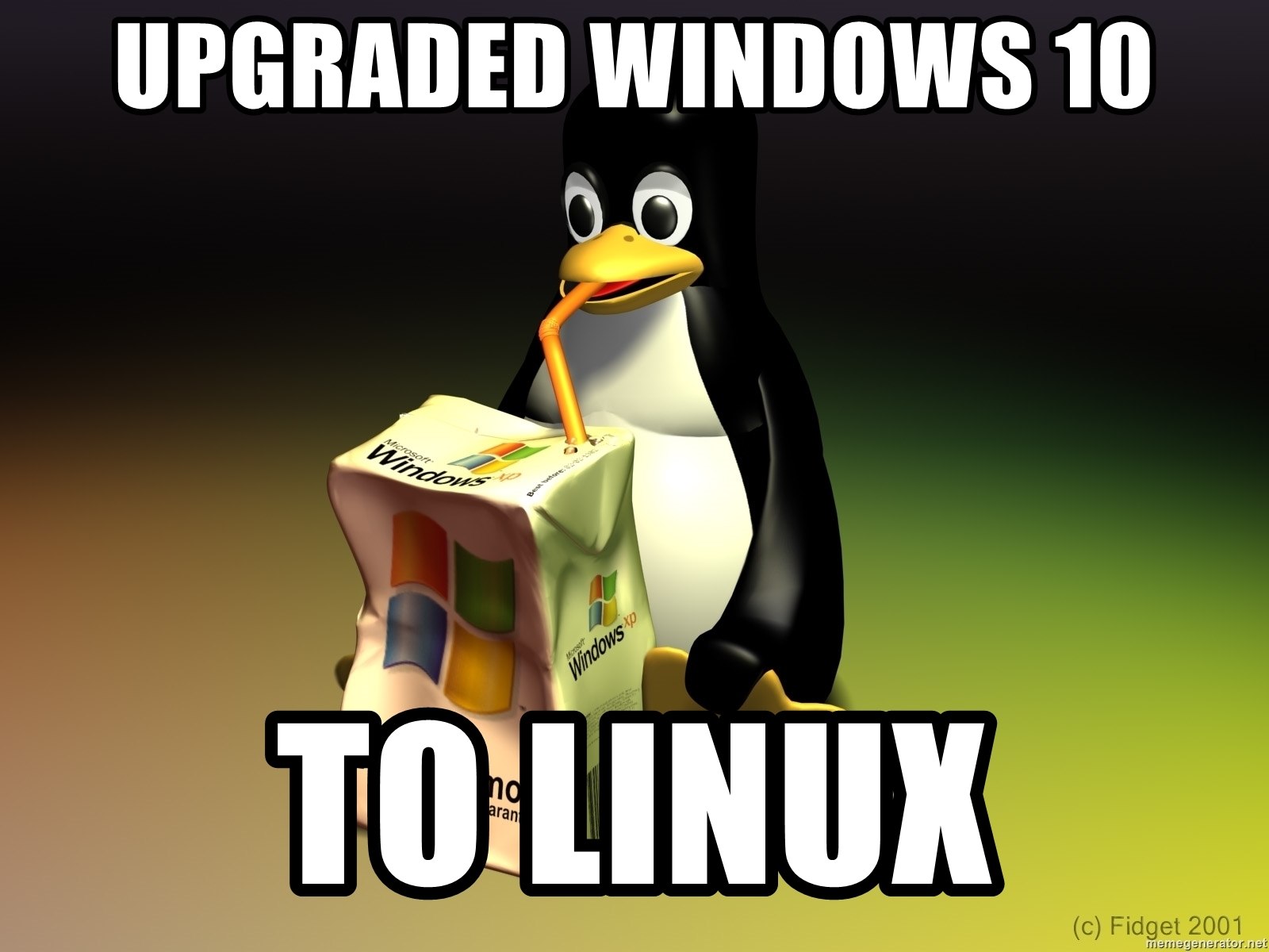 Upgrading my Windows to Linux